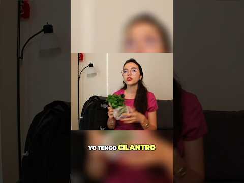 Cilantro en mi mochila  #learnspanish #comprehensibleinput #spanishforbeginners - Learn Spanish with this music video